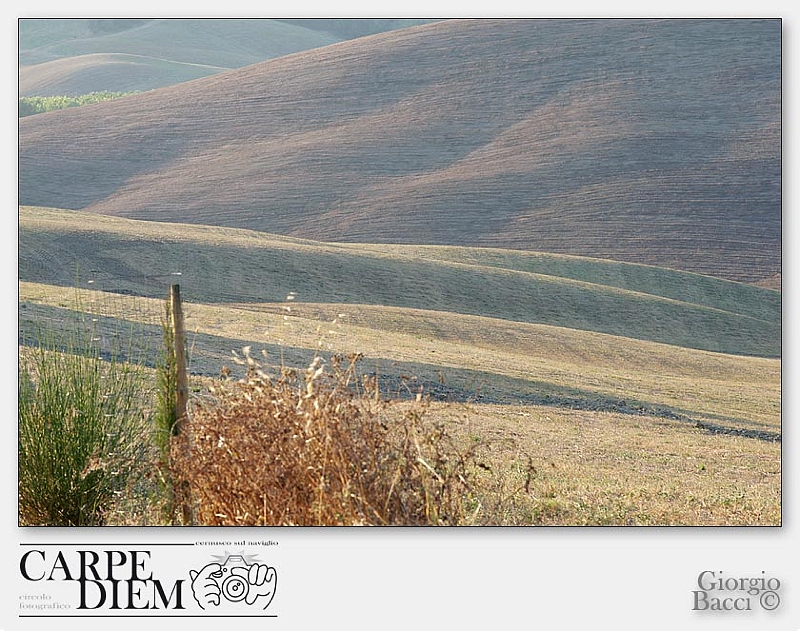 Val d'orcia.jpg